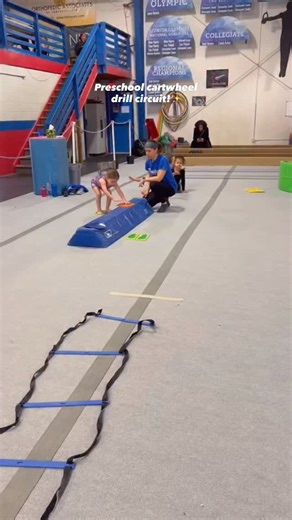 Prestige Gymnastics on Instagram: "These drills can be used individually, as a warmup, or a circuit!👏🏻👏🏻 #preschoolgymnastics #gymnasticsdrills #coachesdrills #coaches #cartwheel"