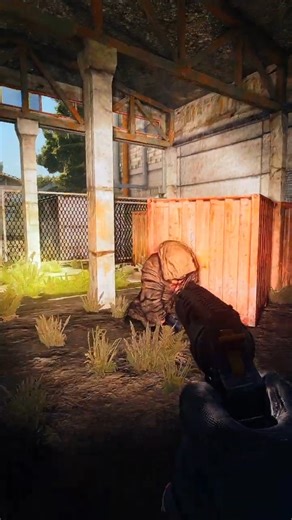 The Zone Doesn't Play Tag in Stalker Gamma #shorts #stalkergamma #gaming #stalker2