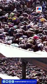 മണ്ഡലകാലം അവസാനിക്കാൻ മൂന്ന് ദിവസം; സന്നിധാനത്ത് വൻ ഭക്തജനപ്രവാഹം | Sabarimala