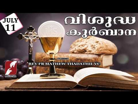 HOLY MASS LIVE @ 6 AM, 11 JULY 2026|FR MATHEW THADATHIL VC|MALAYALAM QURBANA|TODAY MASS|GOODNESS TV