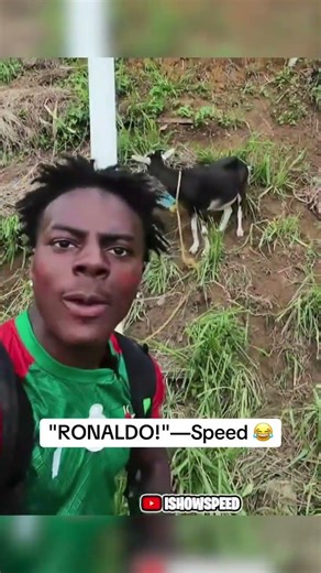 Speed saw a goat in Dominica and said it was Cristiano Ronaldo 🤣 🐐 (via @ishowspeed/TT)