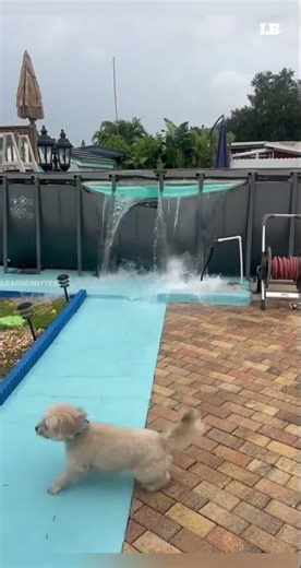 This Pool Draining Trick Is Worse Than You Think #learnerbytes