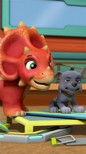 Did you Know this Triceratops’s Fun Facts?🦕