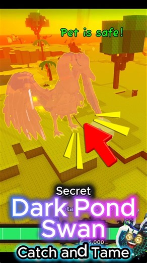 Secret Dark Pond Swan in Catch and Tame #roblox