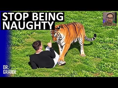 Man Tries to Reason With 420-Pound Tiger After Climbing Into Wildlife Park Enclosure | Analysis