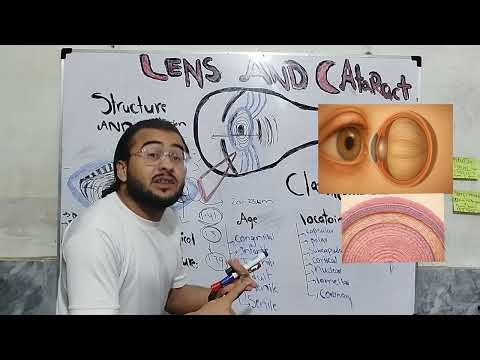36. The Eye Lens Explained Simply | Structure, Function & Anatomy