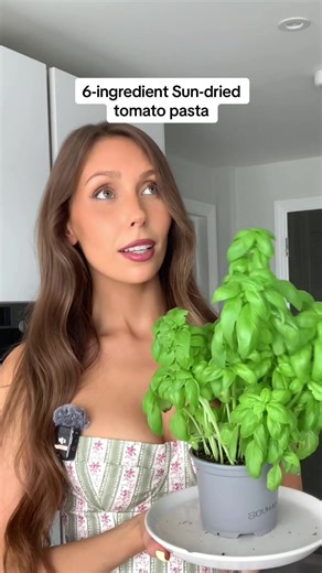 Quick 6-Ingredient Sundried Tomato Pasta Recipe