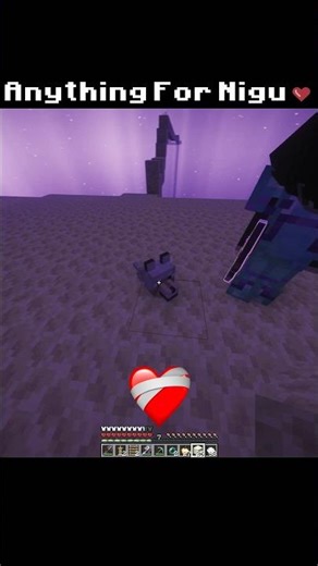 Anything For My Pet🥀| #shorts #minecraft #jiffy #trending #dream #bedrock #mcpe