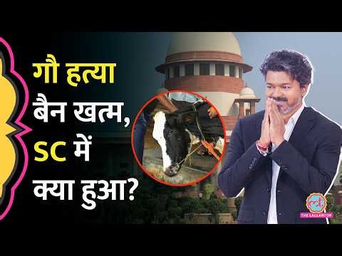 पलट गया आदेश, SC में CM Vijay Govt की बड़ी जीत | गोहत्या बैन के आदेश पर रोक