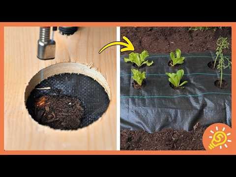 Transform Your Yard: Genius Budget Garden Hacks 🌱