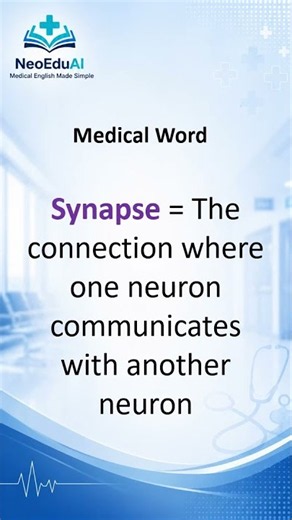 Neuron, Synapse & Reflex | Medical Vocabulary #shorts #internationallyeducatednurse #usnurse #esl