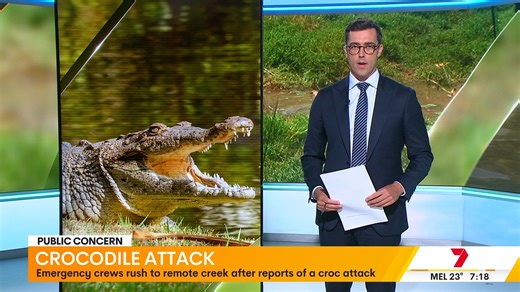 A man in his 20s is recovering in hospital after suffering puncture wounds to his hip from a crocodile attack at a creek near Victoria Plantation in North Queensland. The incident occurred in an area with high crocodile activity near Hinchinbrook Island's extensive mangrove system, during a period when water levels are elevated following a strong wet season. Wildlife officers will search for and remove the crocodile, as Queensland maintains active crocodile management in populated areas while pr