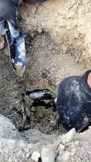 Amazing Find Treasure Me #metaldetecting