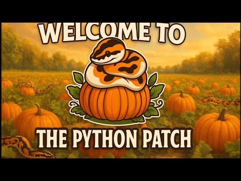 First time shipping a ball python…