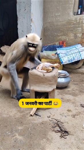 1 जनवरी का पार्टी #comedy #funny #thetharpuns #shilpisaroja