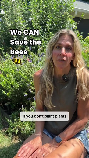 Native Bee Garden Guide: How to Help Native Bees with Native Plants