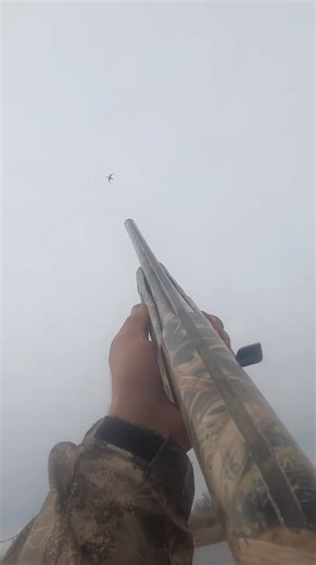 The second video is one of my favorite type of shots ! #duckhunting #hunting #duck @bossshotshells