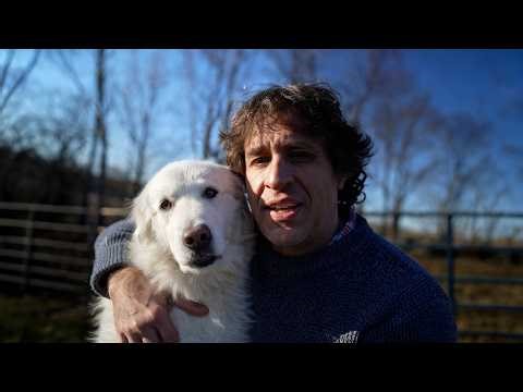 Morning with the Farm Animals