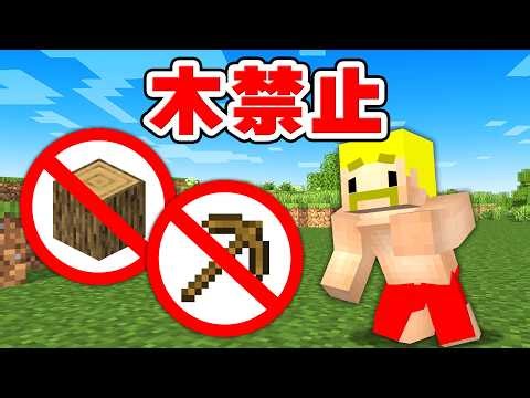【縛りプレイ】木が禁止の世界でエンドラ討伐！【マイクラ】