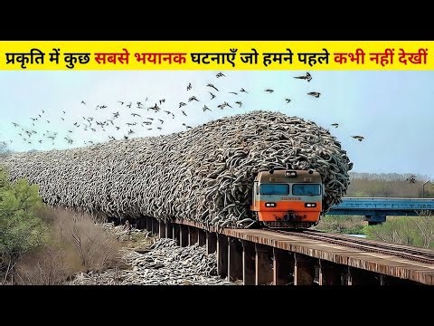 Unbelievable Moment Caught on Camera in Hindi