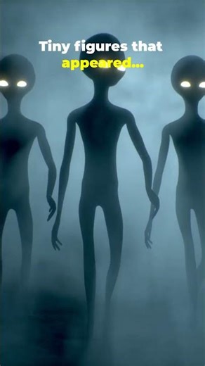 60 Children Saw The Same UFO...