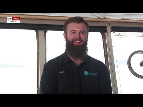 New footage of an underwater mountain taller than Kosciusko