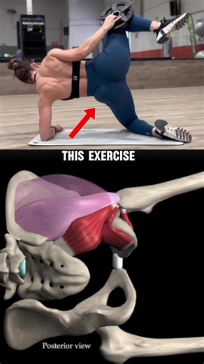 The side plank clamshell a squat is a great hip strength & stability drill I use with some of my patients dealing with hip, knee or back pain! Today you’ll learn how I coach it. . Shout out @Muscle and Motion for the amazing anatomy graphics & @mireiafigureass for her clamshell demo at the start.