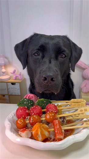 Immersive Labrador Dog Eating ASMR | Satisfying Pet Sounds