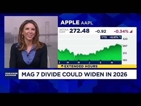 Mag 7 trade splinters as AI winners pull away heading into 2026