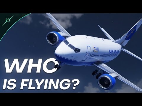 Who was REALLY in control? The Mystery of Flight 604