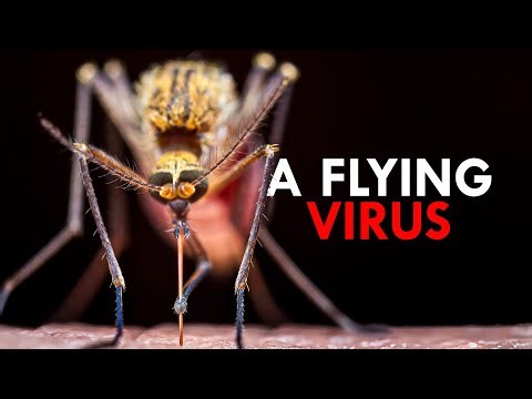 The Deadliest Animals With Unfair Advantages