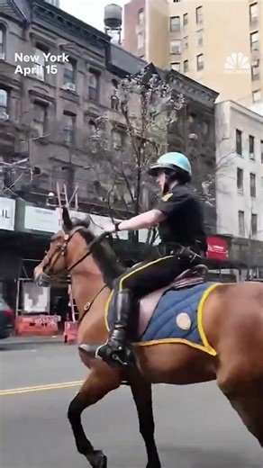 Police officer on horseback chases purse thief in New York