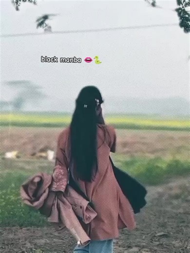 Exploring the Black Mamba: Myths and Facts