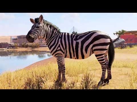 Planet Zoo 2 - Plains Zebra Gameplay (PS5 UHD) [4K30FPS]
