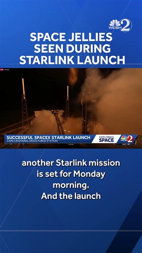Space jellyfish seen during Starlink launcg
