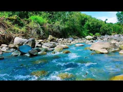 Relaxing River Flow Live 24/7 – Gentle Water Sounds & Green Noise for Better Sleep and Focus
