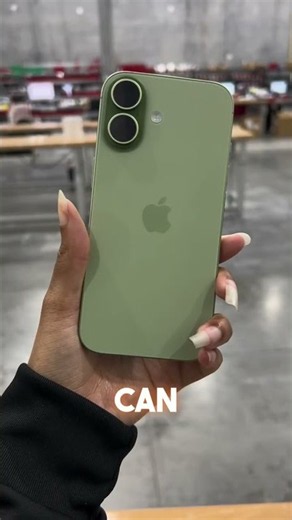 Should you get the iphone duo or....