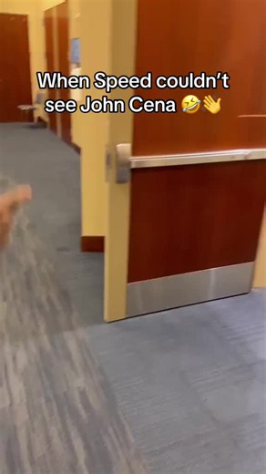 Funny Memes and Viral Comedy Clips Compilation