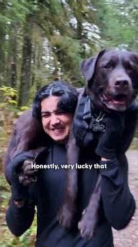 Family Carries Their Injured Lab 7 Kilometers Down A Mountain | The Dodo
