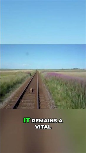 Britain's Last Surviving Railway A Unique Journey #FarNorthLine #ScottishHighlands #fyp