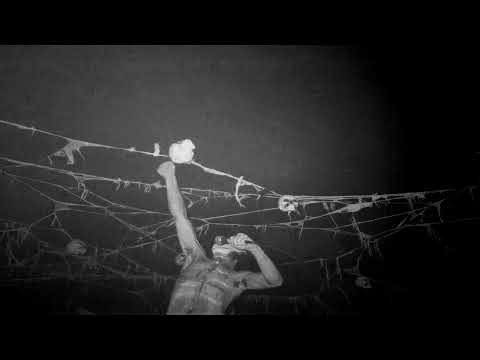 Alien Sex Fiend / Attack