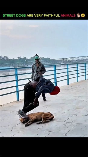 🐶🤸🏼Dog Performs an Amazing Flip! Dogs truly are our best friends,❤️🐕Their loyalty, love, and play