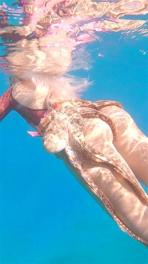 huge octopus won't let go of diver girl and the cameraman had to help her