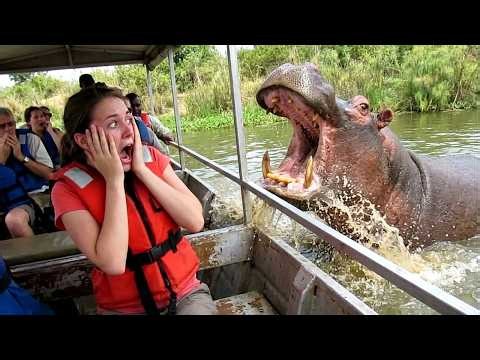 Terrifying Wild Animal Encounters Filmed Seconds Before Disaster 😱