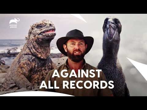 Forrest Galante Uncovering Endangered Creatures in Nature| Extinct Or Alive S2 E5,7,8| Animal Planet