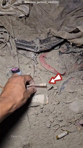His Luck Was Truly Insane! 😱💰 He Found Bundles of Cash #shorts