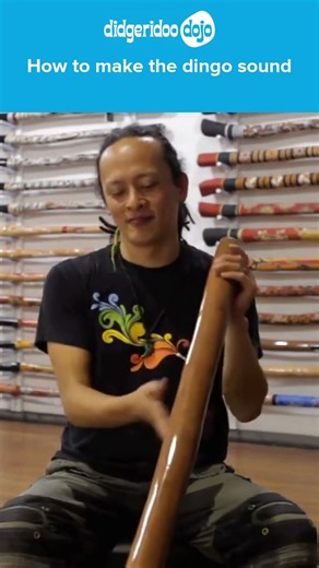 Dingo Howl on the Didgeridoo