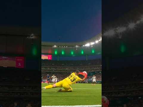 Great save from Unai Simón 🇪🇸🧤#FIFAWorldCupOnYT