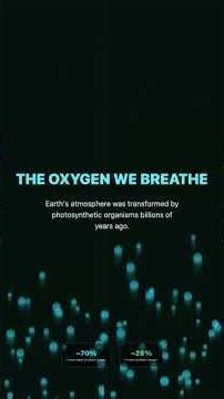 Photosynthesis - explanations