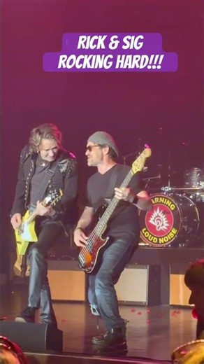 Rick Springfield and Siggy's chemistry is UNMATCHED #concert #liveperformance